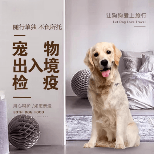 驻马店市宠物托运到哥伦比亚猫狗宠物入境规定和