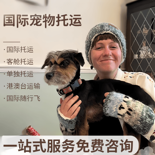 驻马店市国际宠物托运到阿根廷宠物入境规定和要