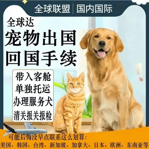 驻马店市宠物托运到柬埔寨宠物入境规定和要求